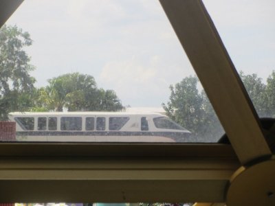 IMG_3389.JPG