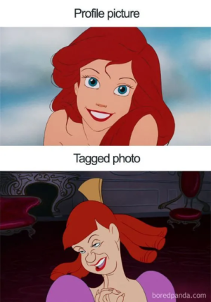 1659291344363.png 1659291344363.png