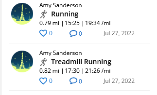 Screenshot 2022-07-28 at 23-06-03 Garmin Connect.png
