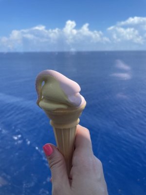 52192627-BFE4-49E4-AB65-4B46C521F524_1_105_c.jpeg