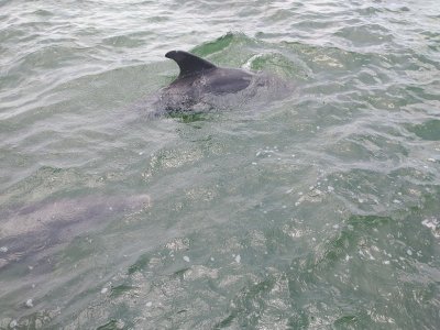 IMG_20220725_121758297.jpg