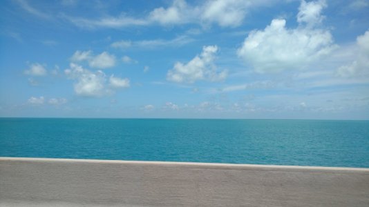 IMG_20170624_124811627.jpg