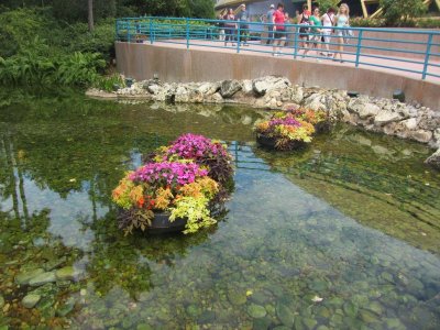 IMG_3358.JPG
