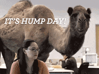 1659557289209.gif