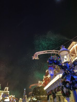 IMG_3703.JPEG