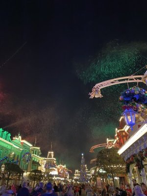 IMG_3704.JPEG