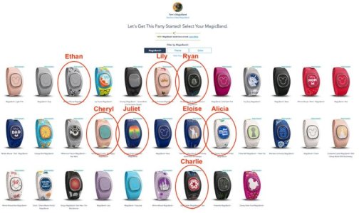 magic-band-plus-discount-resort-guests-disney-world-30.jpeg
