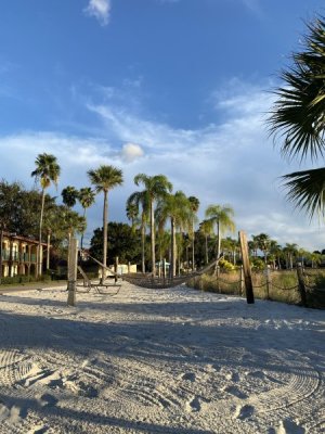 IMG_3724.JPEG
