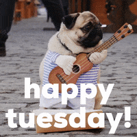 1659639917483.gif