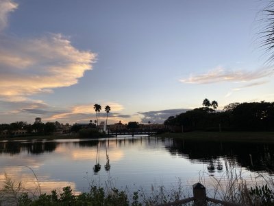 IMG_3726.JPEG