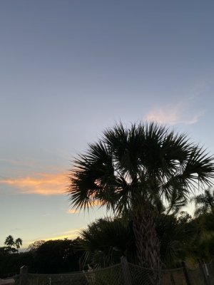 IMG_3727.JPEG