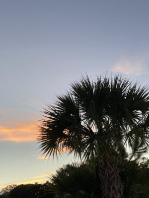IMG_3728.JPEG