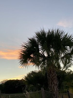 IMG_3729.JPEG