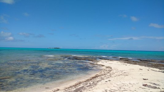 IMG_20170516_120909583.jpg