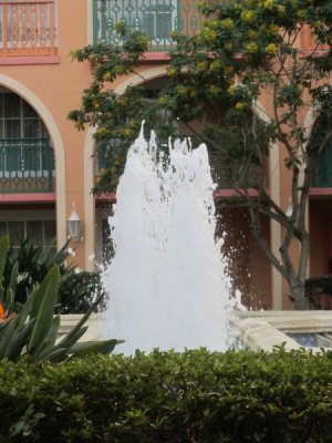 IMG_8068.JPG