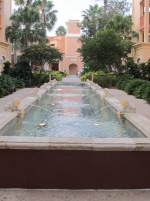 IMG_8075.JPG