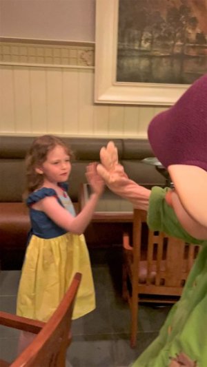 Dopey High Five.jpg