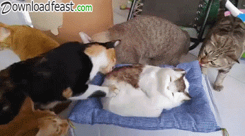 1659861040838.gif