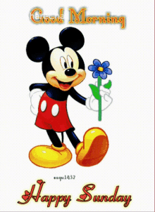 fca17161c5be7d21a7bb93a165331542.gif