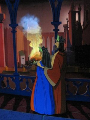 IMG_3565.jpg