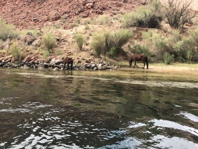 Wonders of the American West - 0667.JPG