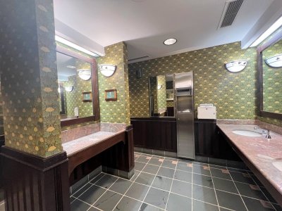 Snow White Bathroom.jpg