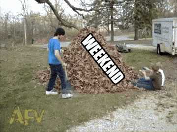 1659958856847.gif