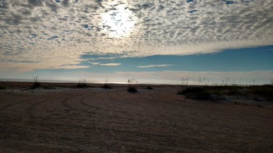 IMG_20191125_082736801_HDR.jpg