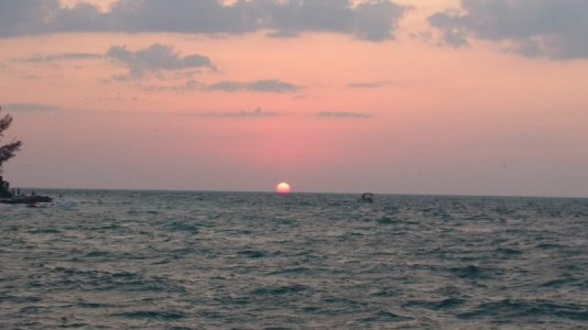 IMG_20190526_201636908.jpg