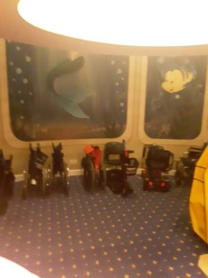 20220420_072104.jpg