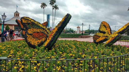 IMG_20180408_123423658_HDR.jpg