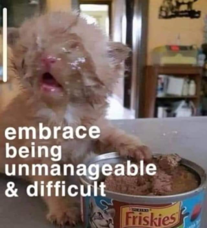 1660101924888.png