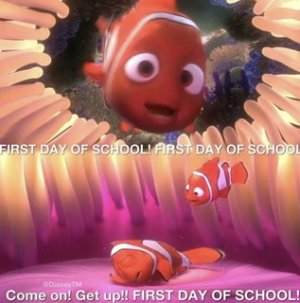 F027C241-D550-4E0C-A24D-D0FF22B5B42E.jpeg