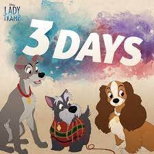 3 days.jpg