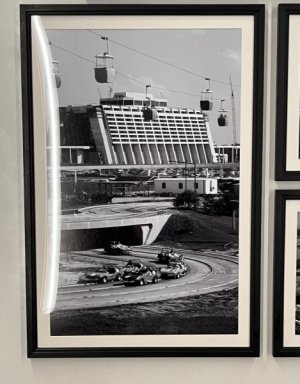IMG_0274.jpeg