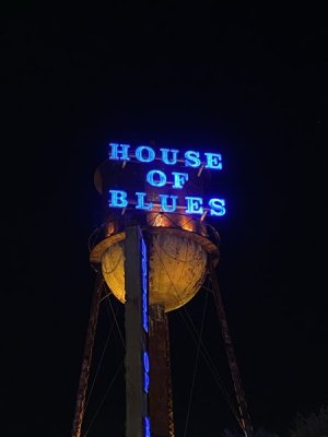IMG_3761.JPEG