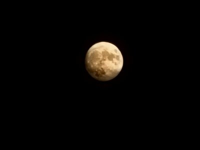 20220810_204717.jpg