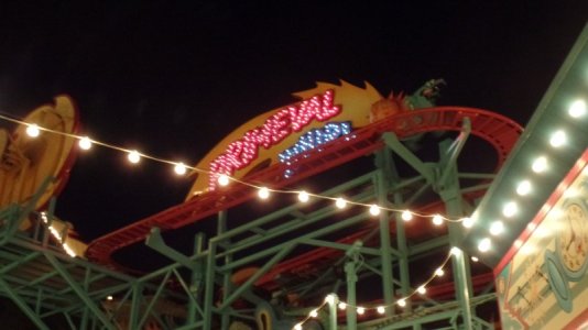 SAM_0961.jpg