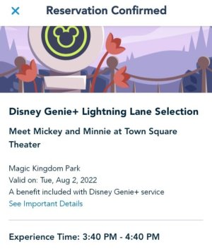 Screenshot_20220802-104129_Disney World.jpg