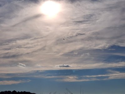 20220811_175215.jpg