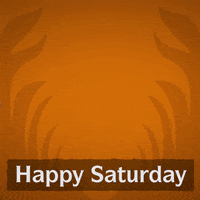 1660385972957.gif