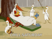 1660422864556.gif