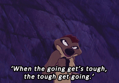 tumblr_inline_mon4lm4SzQ1qz4rgp540.gif