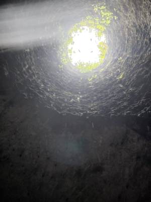 1660635062524.png