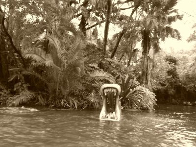 20201004_095139.jpg