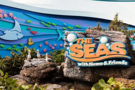 the seas.jpg