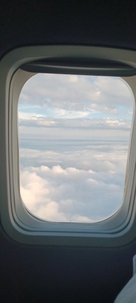 20220808_202519_006.jpg