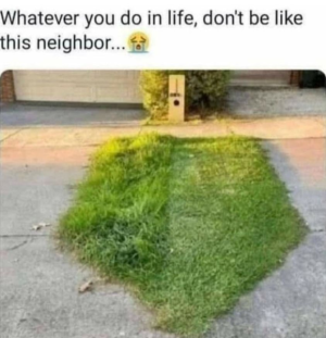 1660960316697.png