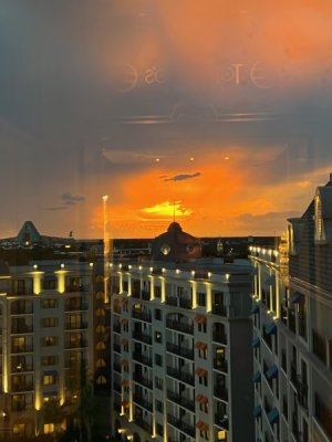 IMG_3942.jpg