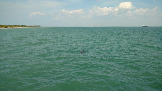 IMG_20170428_163139656.jpg